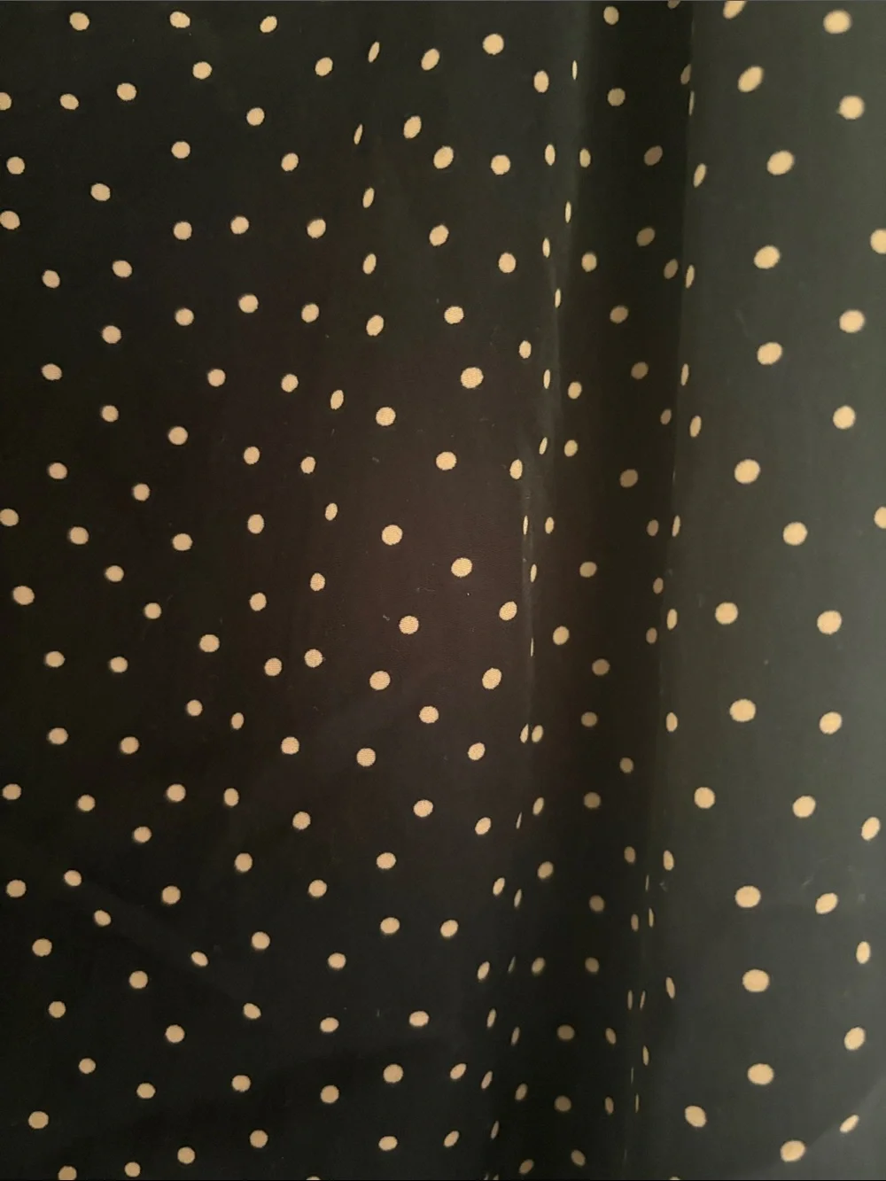 Forever 21 Black Silky Dress Pants with Tan Polka Dots - Picture 4 of 7